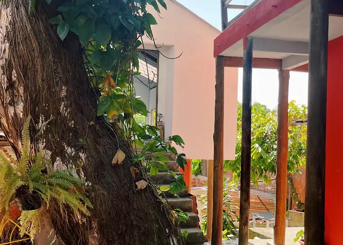 Morada Cacauera