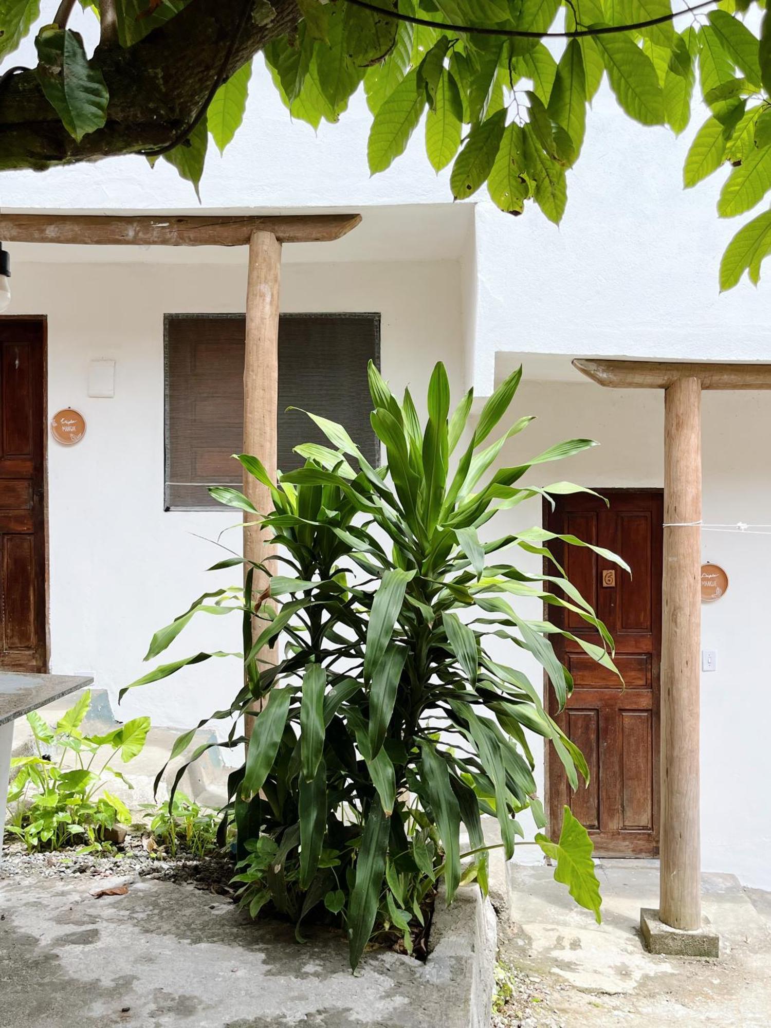 Morada Cacauera Homestay *